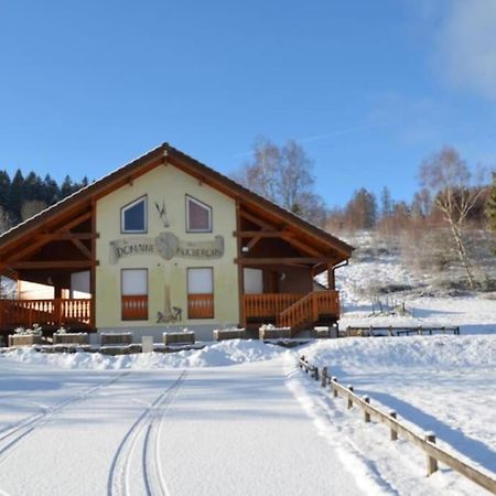 Le Chalet Du Bucheron Gerardmer Exterior photo
